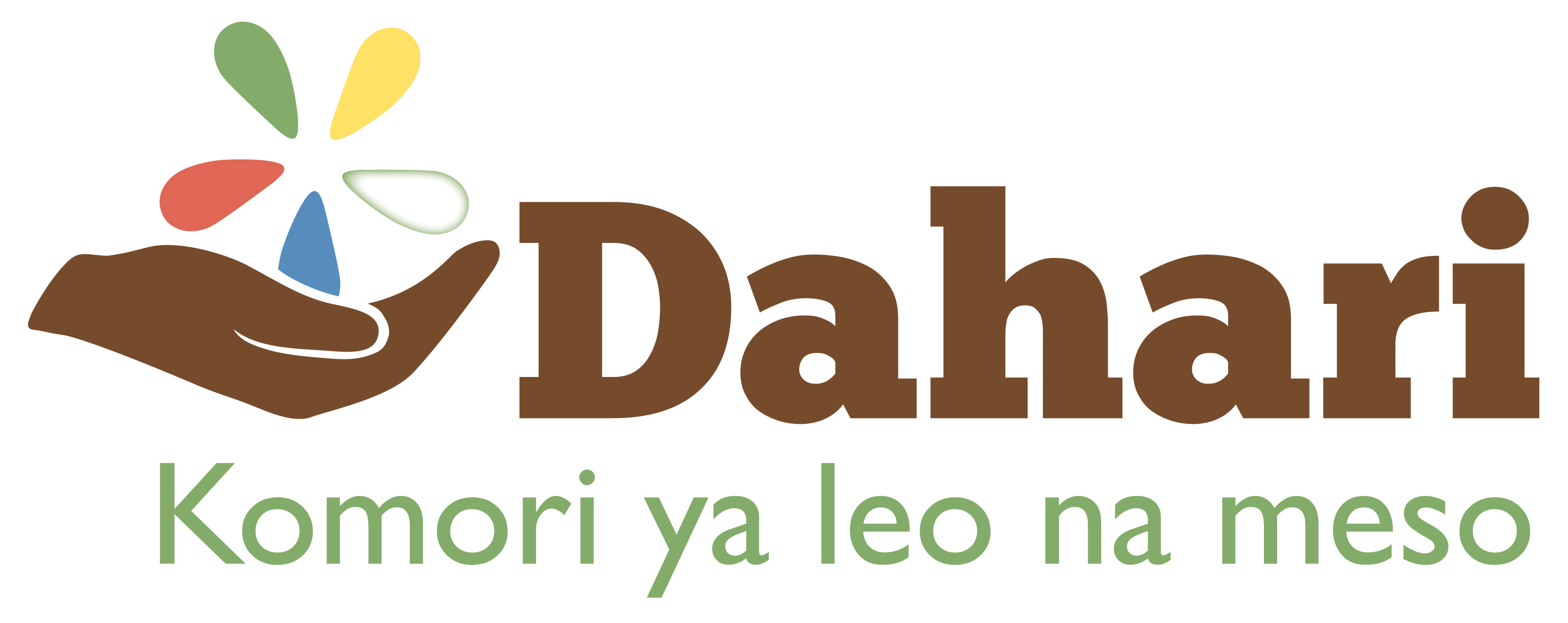 L'ong DAHARI (Son slogan Komori ya lao na meso signifie « les Comores d’aujourd’hui et de demain )